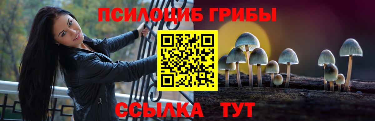 магазин    Галлюциногенные грибы Magic Shrooms  Вход с VPN  Конаково  Галлюциногенные грибы Magic Shrooms 