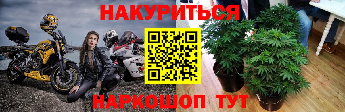 Шишки марихуана LSD WEED  Вход с VPN  Конаково  МАРИХУАНА LSD WEED  Марихуана семена  Канабис SATIVA & INDICA 